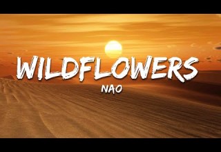 Nao Wildflowers Lyrics