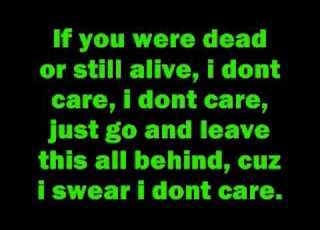  I Don T Care By Apocalyptica With Lyrics