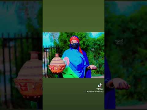 تراث قبيلة الوداي برقو صليحاب