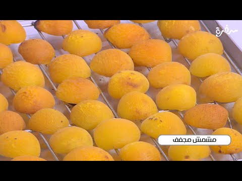 مشمش مجفف نجلاء الشرشابي