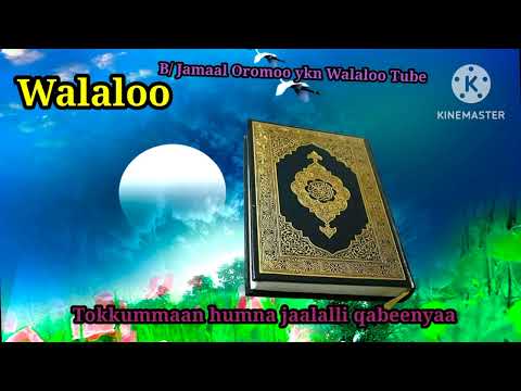 Walaloo Barnootaa Bareedduu Dhageeyfadhaa Raayyaaabbaamaccaa Walaloo