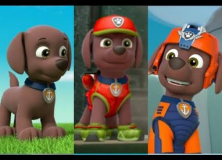 Paw Patrol Zuma Tribute