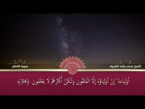 8 الانفال محمد رشاد الشريف ص