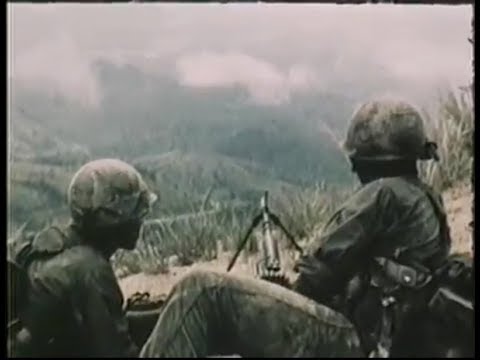 The Turtles Happy Together Vietnam War Footage 1080HD