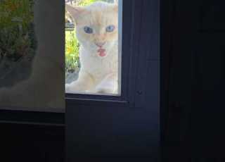  Is Georgie Out There