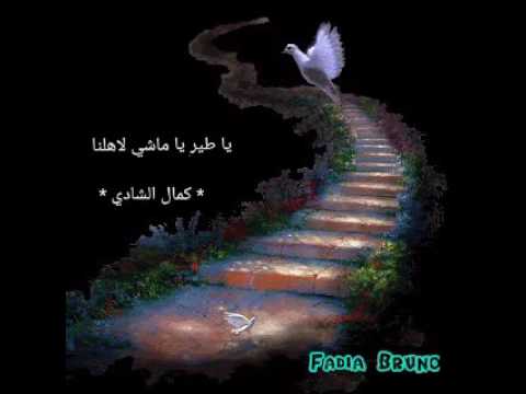 يا طير يا ماشي لاهلنا