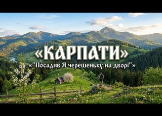  КАРПАТИ Посадив Я черешеньку на дворі