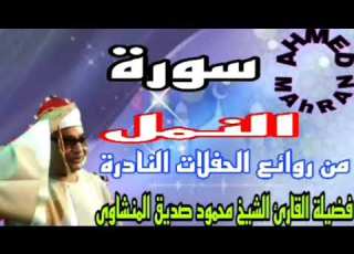 سورة النمل الشيخ محمودصديق المنشاوى من درر ونوادر حفلات الصعيد فى الألفينات