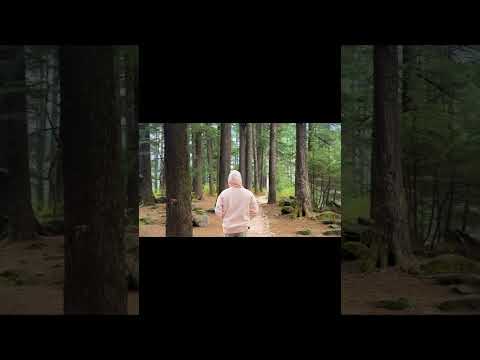 Manali For You Youtubeshorts Travelvlog Trendingvideo Travelling Viralshorts Indian