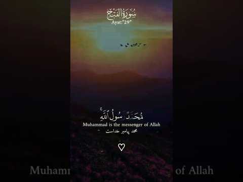 محمد رسول الله والذين معه أشداء على الكفار اكسبلور قرآن عبدالباسط عبدالصمد محمد رسول الله والذين معه أشداء على الكفار اكسبلور قرآن عبدالباسط عبدالصمد