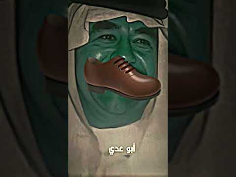 فخر الشيعه سيد السستاني ها جريذيه ضجتو