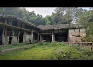  After Divorce Genius Girl Renovation Abandoned House And Lives Freely With Dogs Start To Finish 2