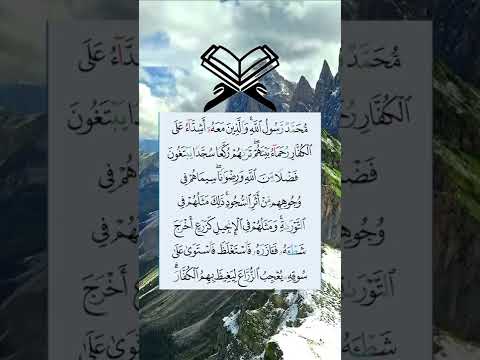 محمد رسول الله والذين معه اشداء على الكفار محمد رسول الله والذين معه اشداء على الكفار