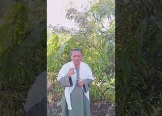  العشر الأول من ذى الحجة تقديم احمد عبد التواب