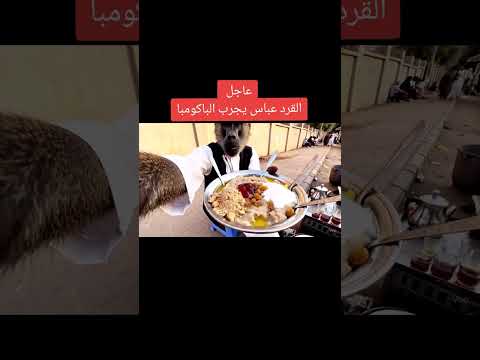 وين ناس جامعة النيلين صحيح ما عندكم ملاعق فى الجامعه