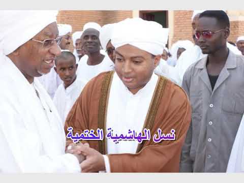 الختمية محمد حسن الماحي