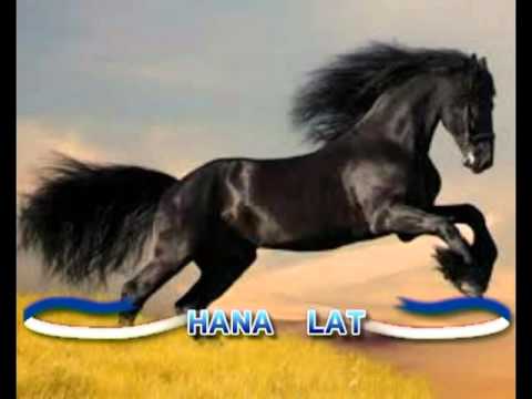 جيبولي عودي دمدام Djibouli 3awdi Damdam