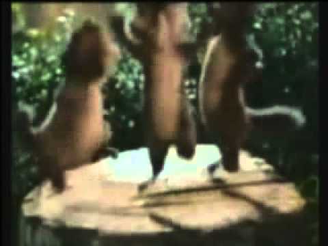 Why This Kolaveri Di Ft Chipmunks Kiddish Mix Mp4