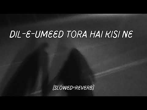Dil E Umeed Tora Hai Kisi Ne Slowed And Reverb Song