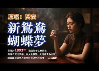  一首唱盡人生無奈的經典 新鴛鴦蝴蝶夢 原唱 黃安 1993年紅遍兩岸 多少人的青春回憶 懷舊經典 經典老歌 華語經典 歌曲 Song Cover Mandopop