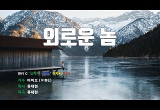 은성 반주기 외로운놈 바이브 VIBE