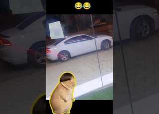  الله همه لاحسد هيم تبيني واني ابيه بعد