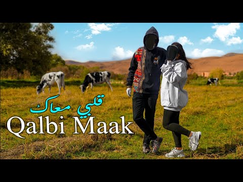AN Qalbi Maak Video Clip 4K 2026 قلبي معاك