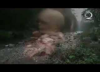  اللهم ارحمنا برحمتك يا رحمن الشيخ نبيل العوضي