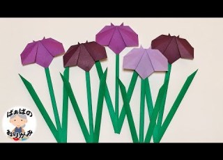 Origami How To Fold An Iris Flower A Simple May Flower Audio Commentary Included Children S
