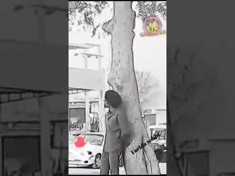 الفنان مصطفى سيد احمد في عيونك ضجت الشوق والهواجس فريدة صبحي