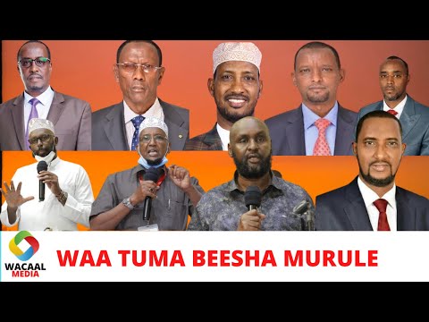 WAX KA BARO BEESHA MURULE IYO CIDA AY GALAAN