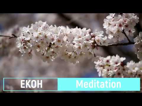 40 Meditation Shakuhachi EKOH