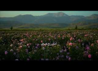  تره محتاجةة لوصالك الوصف مهم اعمال ذكرى يوم الاثنين