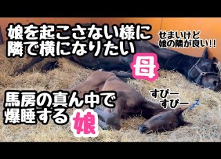  母は愛する娘と一緒に寝たいのです とねっこ サラブレッド