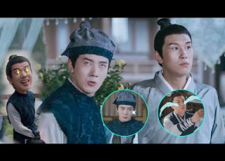 The Romance Of Tiger And Rose The Memoir Of Funny Duo Baiji And Zirui
