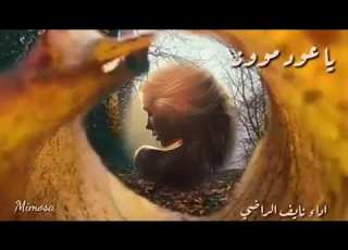 يانبض قلبي يالعيون وهدبها ياروح روحي ياشرايين
