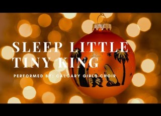 Sleep Little Tiny King