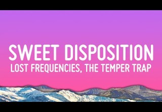 Lost Frequencies The Temper Trap Sweet Disposition A Moment A Love