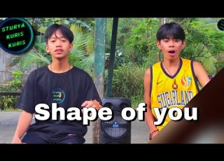 Shape Of You Cover