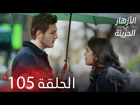الأزهار الحزينة الحلقة 105 كاملة Kırgın Çiçekler