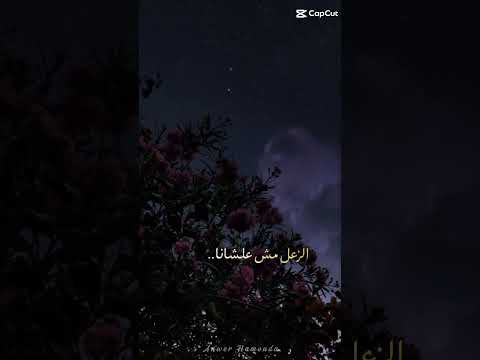 بنودع الي راح روقآن