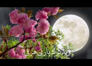 في القلب شعاع يهديني