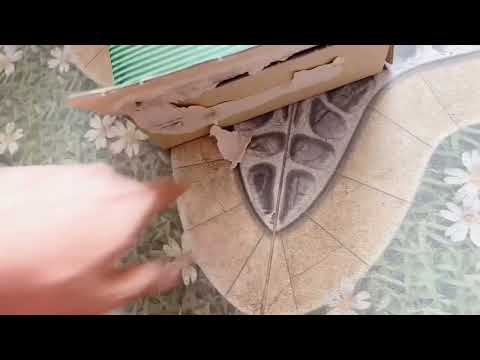 Que Hàn 3Li2 Nam Triều Tiên Malaysia Vlxd Thànhđây Vlog LH 0969 362 379