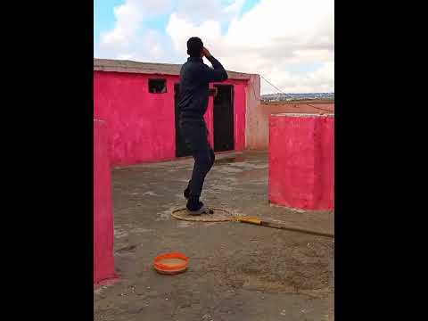 صيد طير حمام الأردن