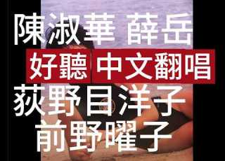 模擬 陳淑華 薛岳 補版 中文翻唱 荻野目洋子 前野曜子 Aicover