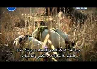  الخال زازا وهو يصلي وادي الذئاب الجزء السادس ههههههههه