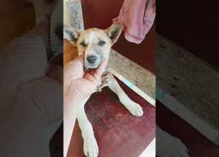  Teri Meheri Bania Teri Agar Bania