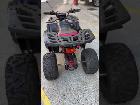 Temos Um Quadriciclo Atv 125 A Partir De R 13 850 00 0km Quadriciclo Atv125cc Diversão