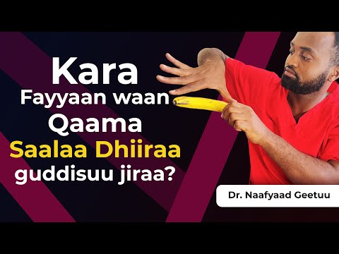 Qaamni Saalaa Kiyya Xiqqaadha Akkamiin Guddisu