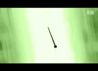  حلقة القط الأبيض Amv